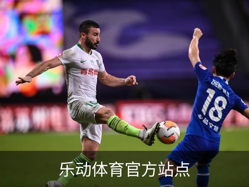 乐动体育官方站点概况